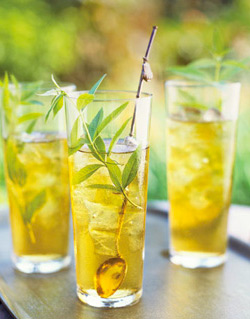 Tisane glacée aux herbes